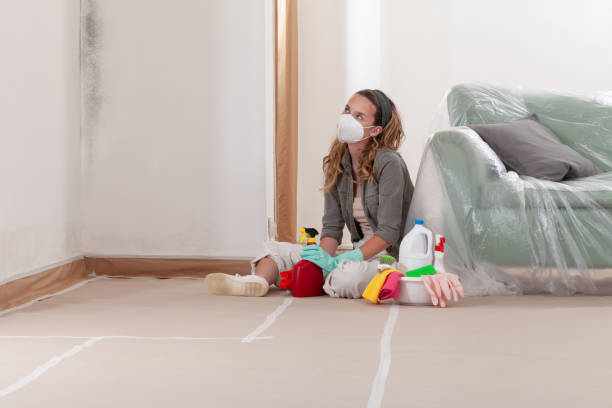 Reliable Basement Mold Remediation contractor in Middleville, MI by Mold Remediation HQ